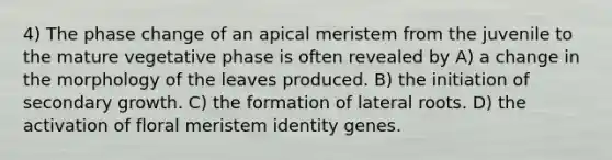 4) The phase change of an apical meristem from the juvenile to the mature vegetative phase is often revealed by A) a change in the morphology of the leaves produced. B) the initiation of secondary growth. C) the formation of lateral roots. D) the activation of floral meristem identity genes.