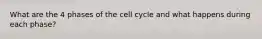 What are the 4 phases of the cell cycle and what happens during each phase?