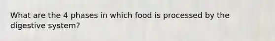 What are the 4 phases in which food is processed by the digestive system?