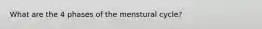 What are the 4 phases of the menstural cycle?