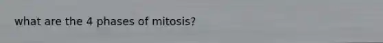 what are the 4 phases of mitosis?