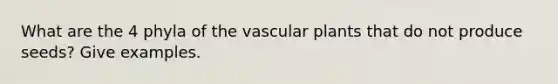 What are the 4 phyla of the vascular plants that do not produce seeds? Give examples.