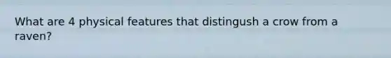 What are 4 physical features that distingush a crow from a raven?