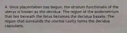 4. Once placentation has begun, the stratum functionalis of the uterus is known as the decidua. The region of the endometrium that lies beneath the fetus becomes the decidua basalis. The region that surrounds the uterine cavity forms the decidua capsularis.