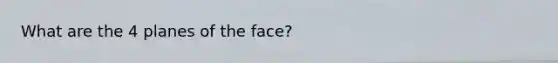 What are the 4 planes of the face?