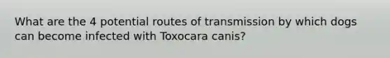 What are the 4 potential routes of transmission by which dogs can become infected with Toxocara canis?