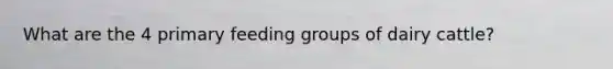 What are the 4 primary feeding groups of dairy cattle?