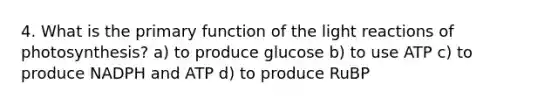 4. What is the primary function of the light reactions of photosynthesis? a) to produce glucose b) to use ATP c) to produce NADPH and ATP d) to produce RuBP