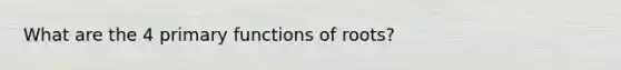 What are the 4 primary functions of roots?