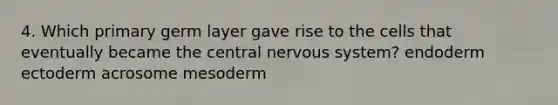 4. Which primary germ layer gave rise to the cells that eventually became the central nervous system? endoderm ectoderm acrosome mesoderm