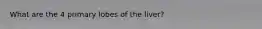 What are the 4 primary lobes of the liver?