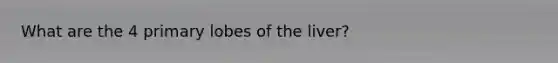 What are the 4 primary lobes of the liver?