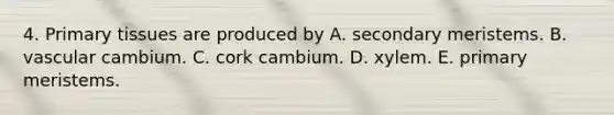 4. Primary tissues are produced by A. secondary meristems. B. vascular cambium. C. cork cambium. D. xylem. E. primary meristems.