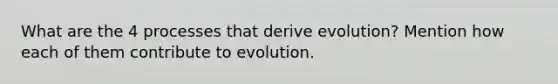 What are the 4 processes that derive evolution? Mention how each of them contribute to evolution.