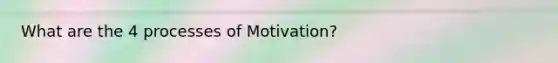 What are the 4 processes of Motivation?