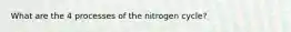 What are the 4 processes of the nitrogen cycle?