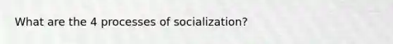 What are the 4 processes of socialization?