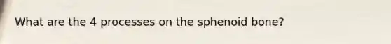 What are the 4 processes on the sphenoid bone?