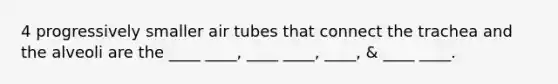 4 progressively smaller air tubes that connect the trachea and the alveoli are the ____ ____, ____ ____, ____, & ____ ____.