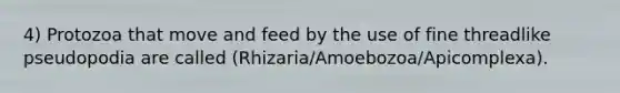 4) Protozoa that move and feed by the use of fine threadlike pseudopodia are called (Rhizaria/Amoebozoa/Apicomplexa).