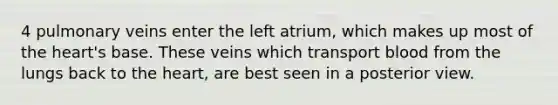 4 pulmonary veins enter the left atrium, which makes up most of the heart's base. These veins which transport blood from the lungs back to the heart, are best seen in a posterior view.