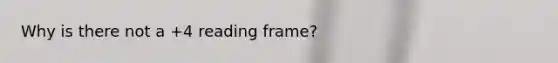 Why is there not a +4 reading frame?