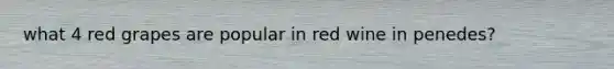 what 4 red grapes are popular in red wine in penedes?