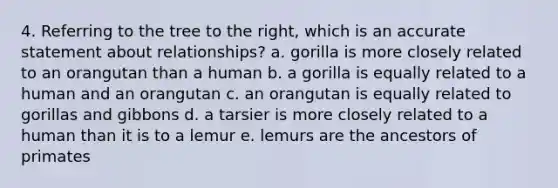 4. Referring to the tree to the right, which is an accurate statement about relationships? a. gorilla is more closely related to an orangutan than a human b. a gorilla is equally related to a human and an orangutan c. an orangutan is equally related to gorillas and gibbons d. a tarsier is more closely related to a human than it is to a lemur e. lemurs are the ancestors of primates