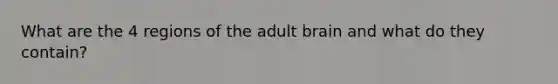 What are the 4 regions of the adult brain and what do they contain?