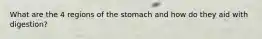 What are the 4 regions of the stomach and how do they aid with digestion?