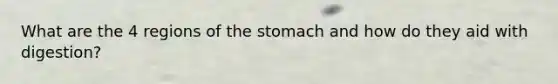 What are the 4 regions of the stomach and how do they aid with digestion?