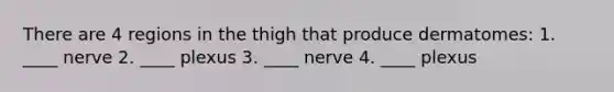 There are 4 regions in the thigh that produce dermatomes: 1. ____ nerve 2. ____ plexus 3. ____ nerve 4. ____ plexus