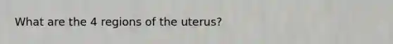 What are the 4 regions of the uterus?