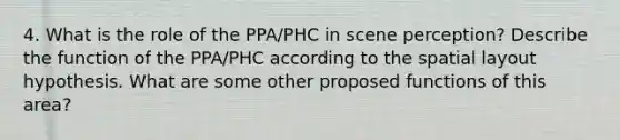 4. What is the role of the PPA/PHC in scene perception? Describe the function of the PPA/PHC according to the spatial layout hypothesis. What are some other proposed functions of this area?