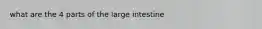 what are the 4 parts of the large intestine