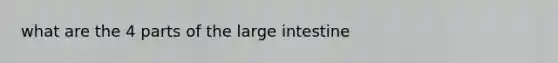 what are the 4 parts of the <a href='https://www.questionai.com/knowledge/kGQjby07OK-large-intestine' class='anchor-knowledge'>large intestine</a>