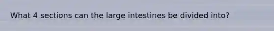 What 4 sections can the large intestines be divided into?