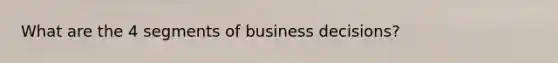 What are the 4 segments of business decisions?