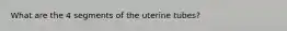 What are the 4 segments of the uterine tubes?