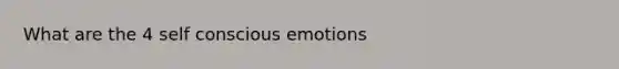 What are the 4 self conscious emotions