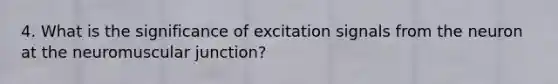 4. What is the significance of excitation signals from the neuron at the neuromuscular junction?