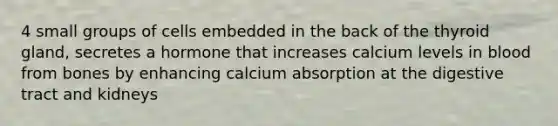 4 small groups of cells embedded in the back of the thyroid gland, secretes a hormone that increases calcium levels in blood from bones by enhancing calcium absorption at the digestive tract and kidneys