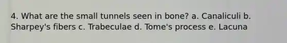 4. What are the small tunnels seen in bone? a. Canaliculi b. Sharpey's fibers c. Trabeculae d. Tome's process e. Lacuna