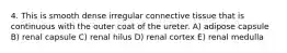 4. This is smooth dense irregular connective tissue that is continuous with the outer coat of the ureter. A) adipose capsule B) renal capsule C) renal hilus D) renal cortex E) renal medulla