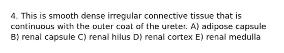 4. This is smooth dense irregular <a href='https://www.questionai.com/knowledge/kYDr0DHyc8-connective-tissue' class='anchor-knowledge'>connective tissue</a> that is continuous with the outer coat of the ureter. A) adipose capsule B) renal capsule C) renal hilus D) renal cortex E) renal medulla