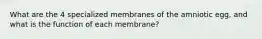 What are the 4 specialized membranes of the amniotic egg, and what is the function of each membrane?