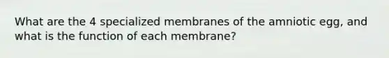 What are the 4 specialized membranes of the amniotic egg, and what is the function of each membrane?