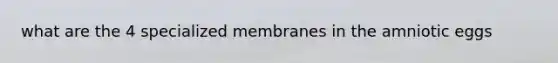 what are the 4 specialized membranes in the amniotic eggs