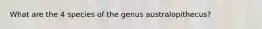 What are the 4 species of the genus australopithecus?