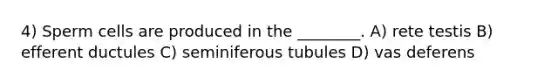 4) Sperm cells are produced in the ________. A) rete testis B) efferent ductules C) seminiferous tubules D) vas deferens